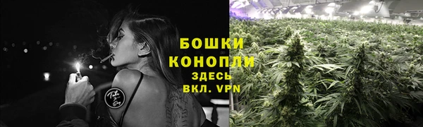 кокаин Гусь-Хрустальный